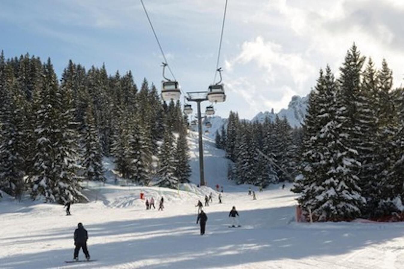 Een skipiste met een kabelbaan, sneeuwbedekte bomen en skiërs.