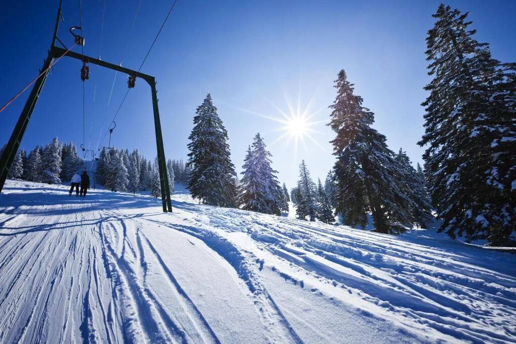 Een stoeltjeslift met een heldere lucht en sneeuwbedekte bomen.