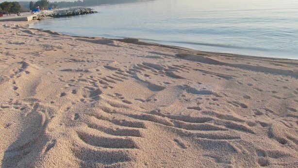 A beach with footprints in the sand, a calm sea, and a distant shoreline with trees. - Perfect apartment for 3 with terrace/wifi/pet-friendly (Fazana)
