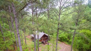 A cabin surrounded by dense forest, with a gravel path leading to it.