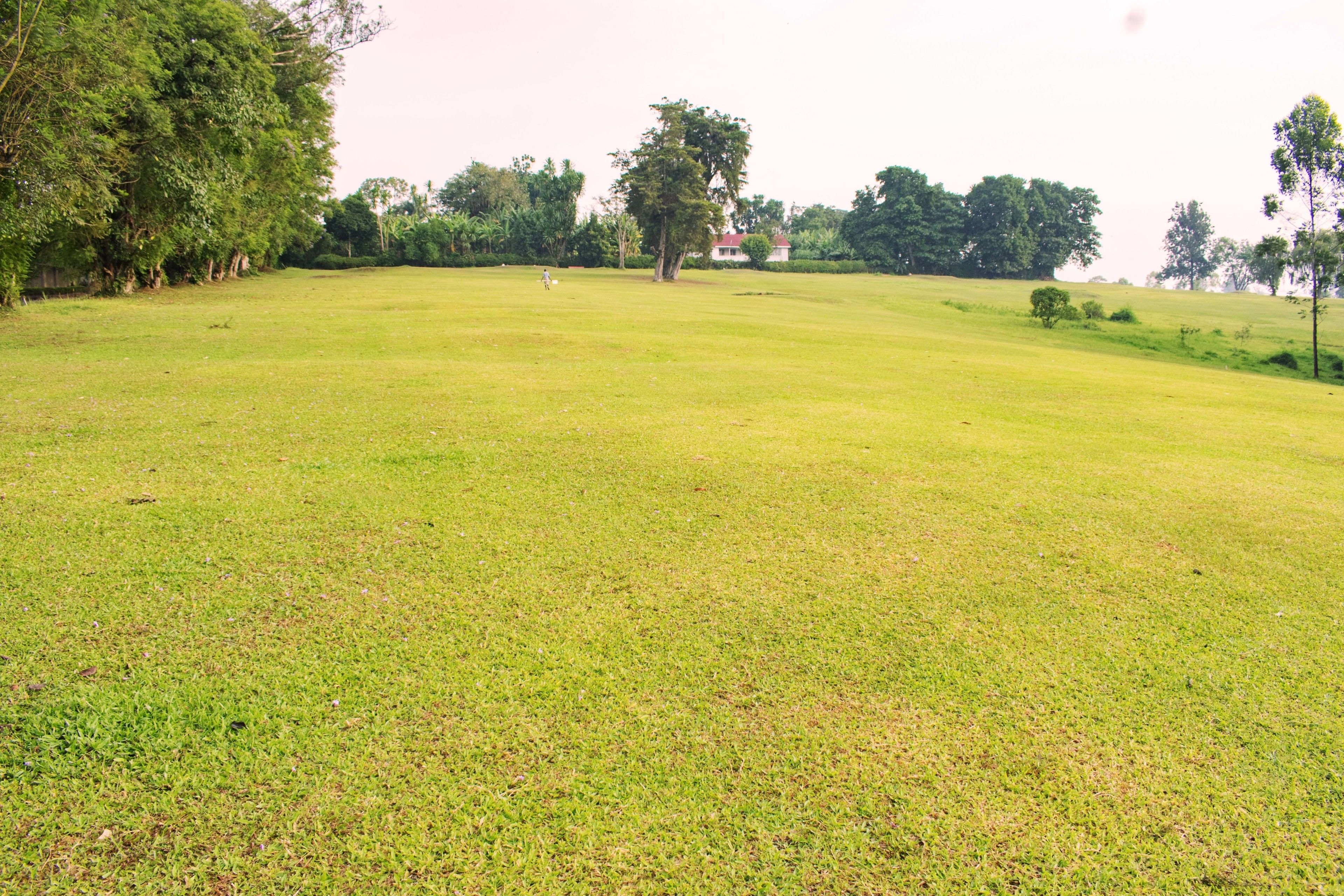 A large, open grassy field with a few trees and a distant building.