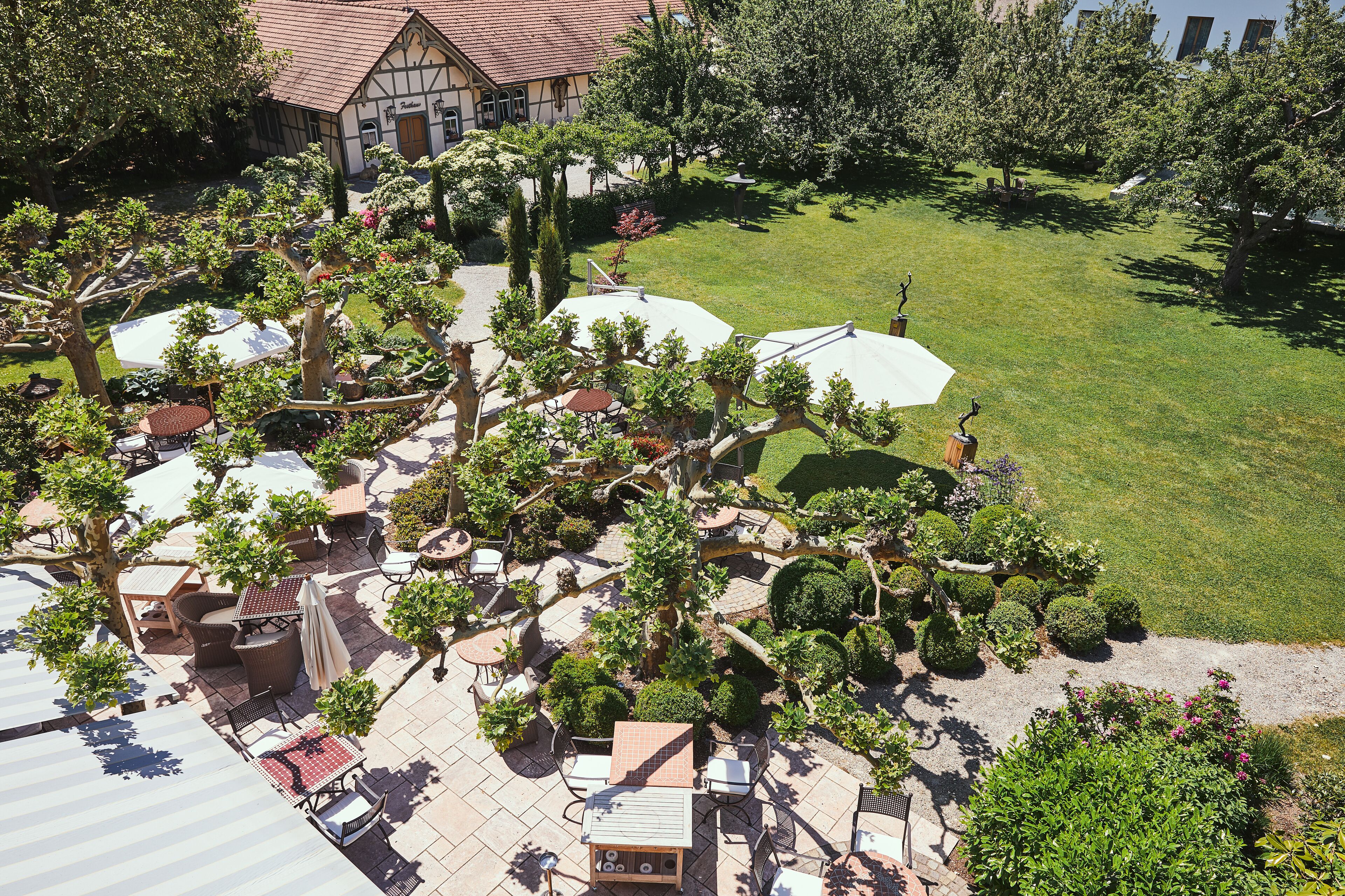 Cảnh từ trên cao