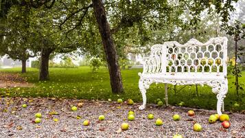 A park bench surrounded by trees and scattered apples.