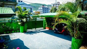 Un pati empedrat amb una porta verda, plantes en testos i un patinet aparcat.