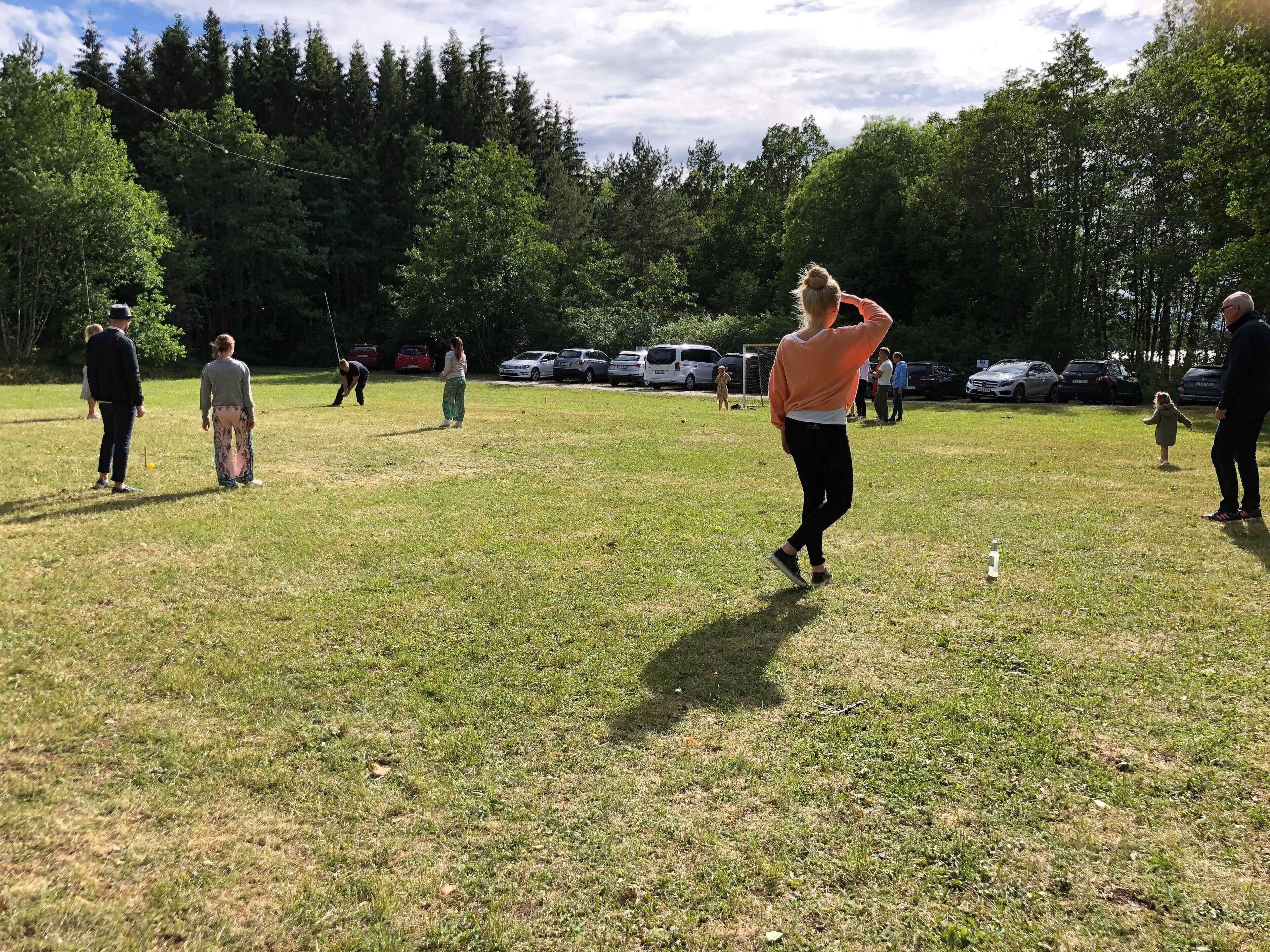 A grassy outdoor area with people engaged in activities, surrounded by trees and parked cars.
