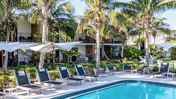 A poolside area with lounge chairs, umbrellas, and palm trees.