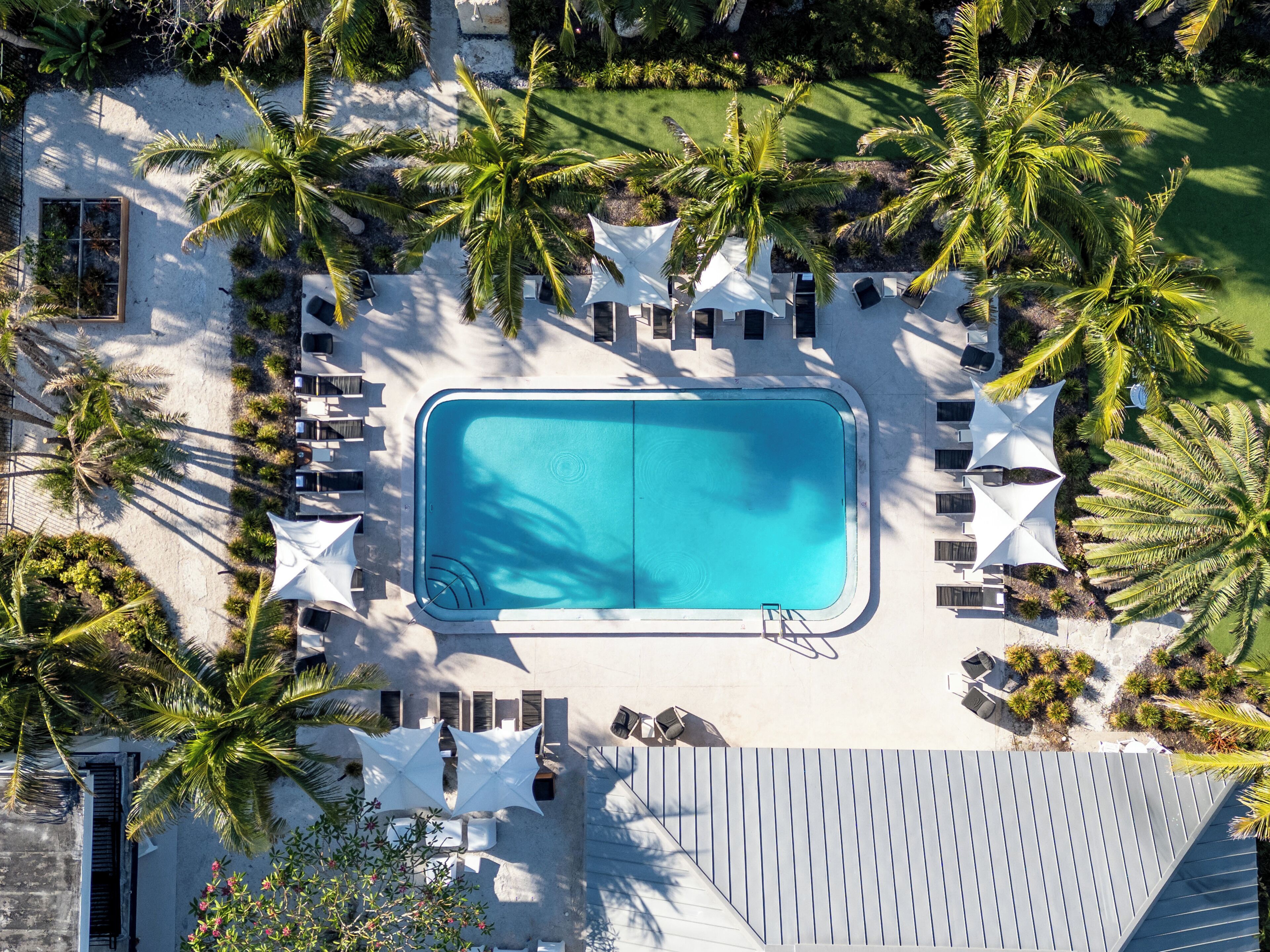An aerial view of a resort with a rectangular pool surrounded by palm trees and sun loungers.