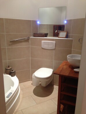 Bathtub, hair dryer, toilet paper