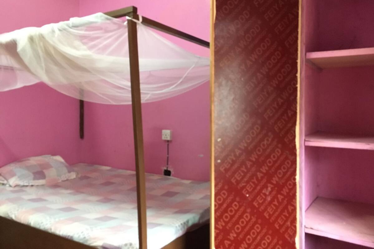 A room with a bed under a mosquito net, pink walls, and a shelf unit.