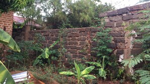 Muro de piedra rústica con vegetación exuberante y una estructura de ladrillo al fondo.