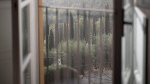 An open window with a view of a forested hillside. - Luxury 6-bed Tuscan Villa Near Lucca and Florence (Capannori)