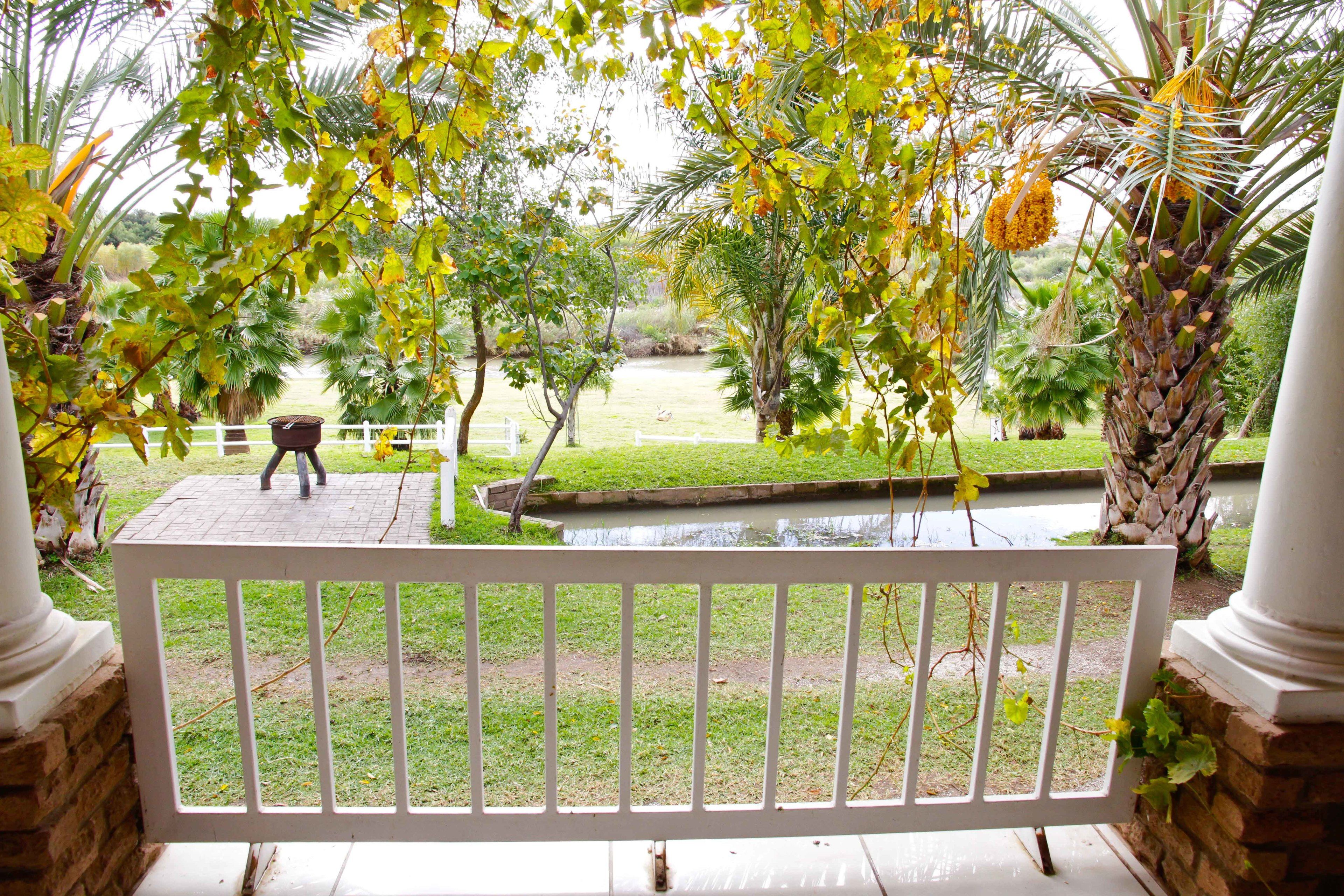 A white wooden bench with a view of a garden featuring palm trees, a small pond, and a white fence.