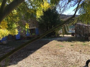 A stone building with a gravel yard, a tree with yellow flowers, and a metal gate. - Quiet cottage with terrace, garden, pool in ST-VICTOR LA COSTE (GARD) (Saint-Victor-La-Coste)