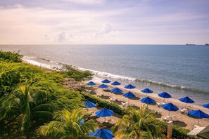A beach with blue umbrellas, white lounge chairs, and palm trees.