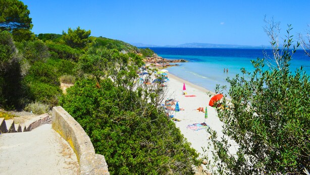 Une plage à l’eau turquoise et limpide, bordée d’un rivage sablonneux et d’une végétation luxuriante.
