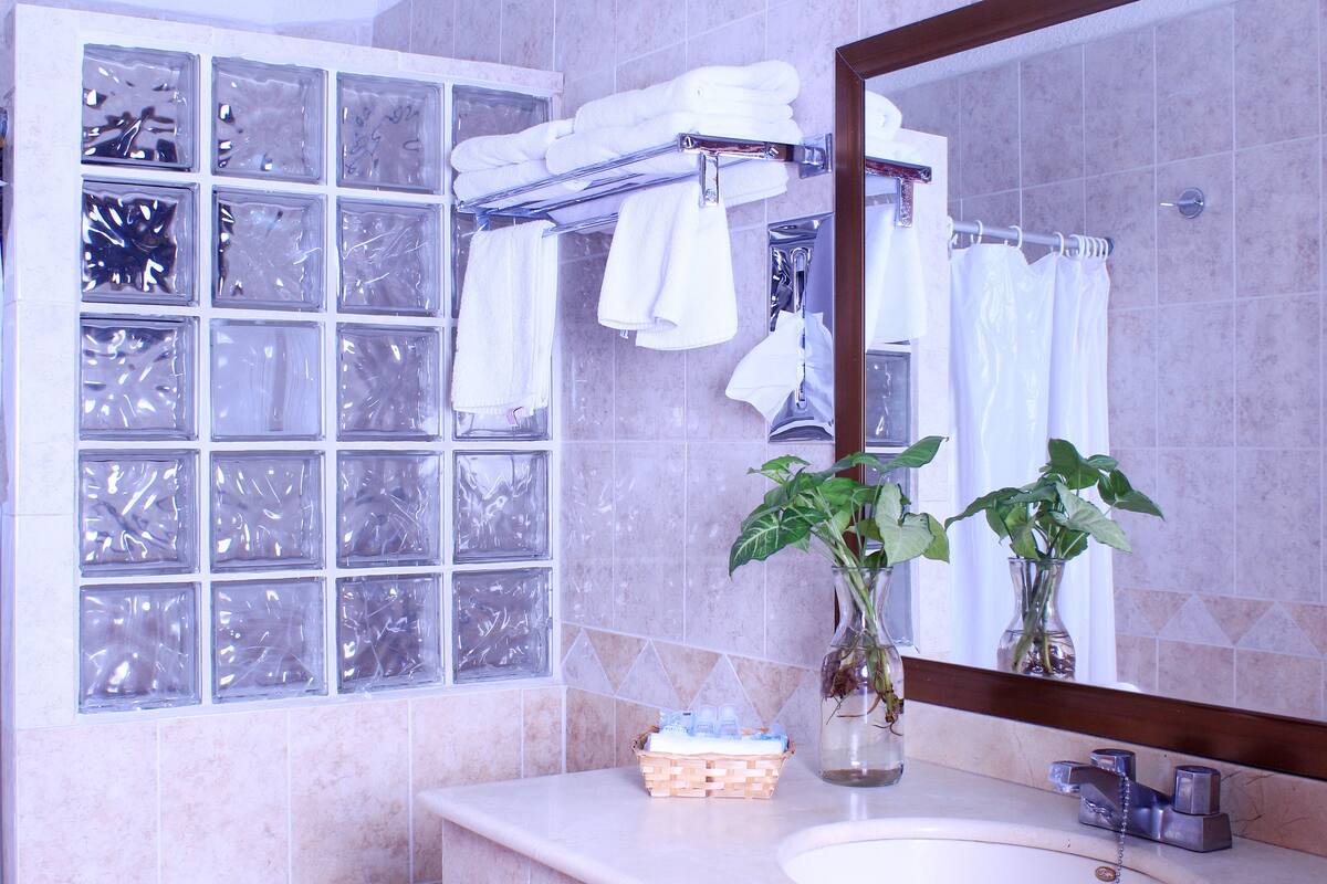 double room, 2 double beds, courtyard view | bathroom | shower, free toiletries, hair dryer, towels