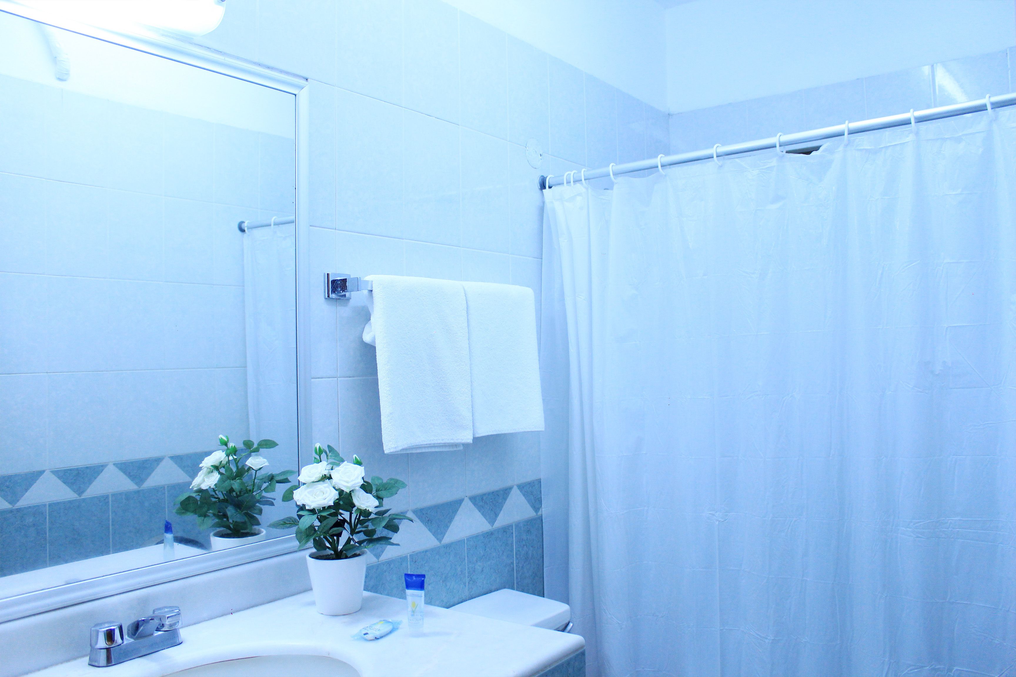 junior room, 1 king bed, courtyard view | bathroom | shower, free toiletries, hair dryer, towels