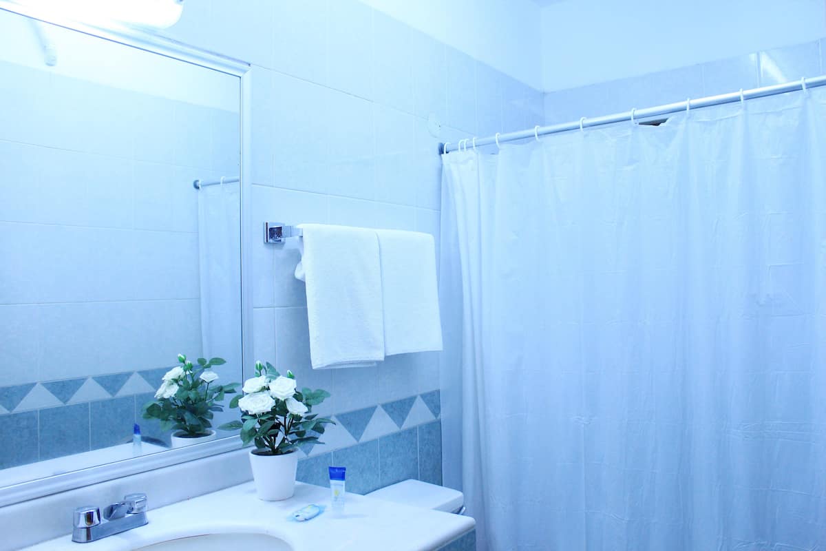 junior room, 1 king bed, courtyard view | bathroom | shower, free toiletries, hair dryer, towels