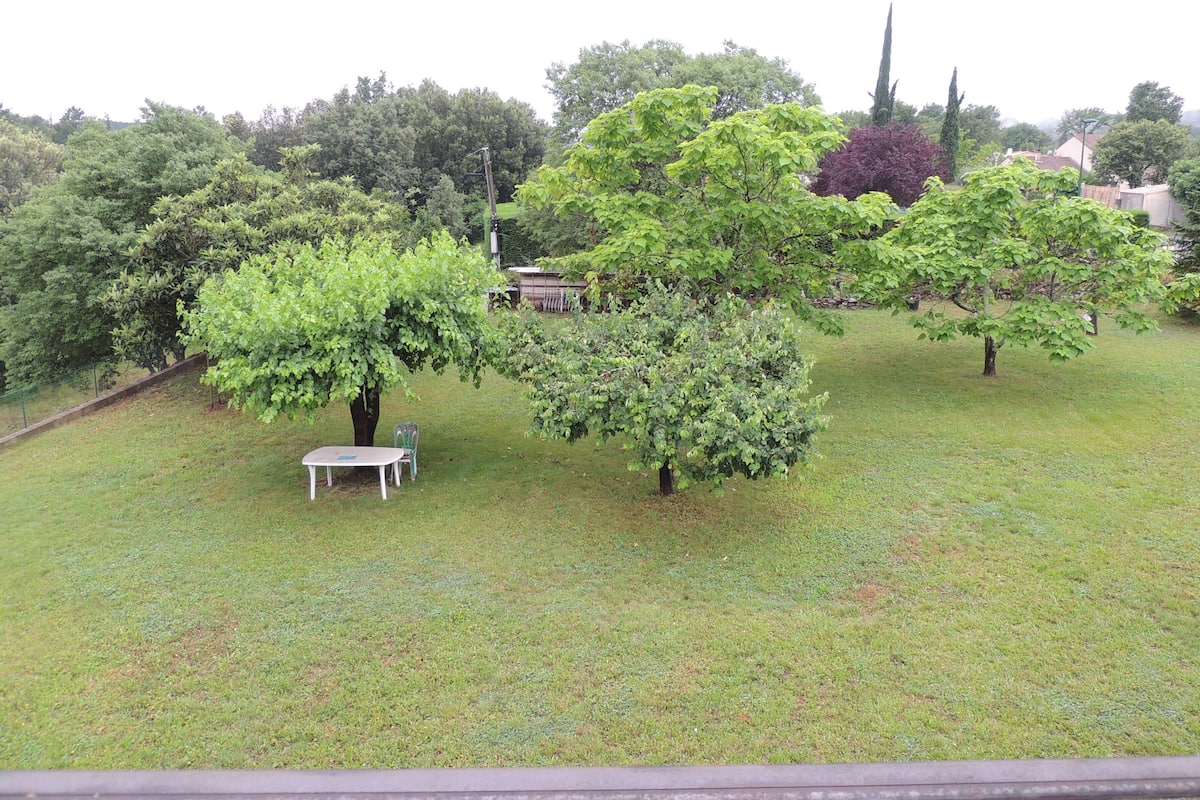 Un espace extérieur verdoyant, avec plusieurs arbres et une petite table.