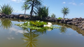 Lake - Casa dos Lagos AL (Velas)