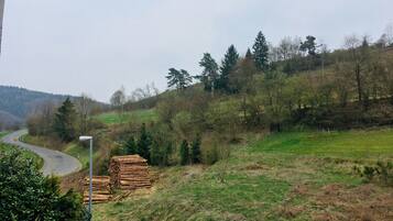 A rural landscape with a winding road, a stack of logs, and a variety of trees.