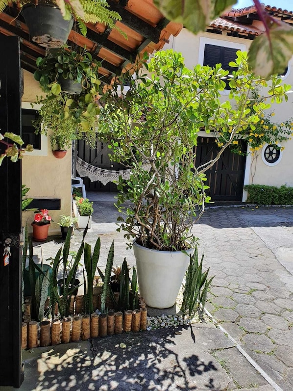 Relax in a serene courtyard surrounded by lush potted plants and a hammock for unwinding.