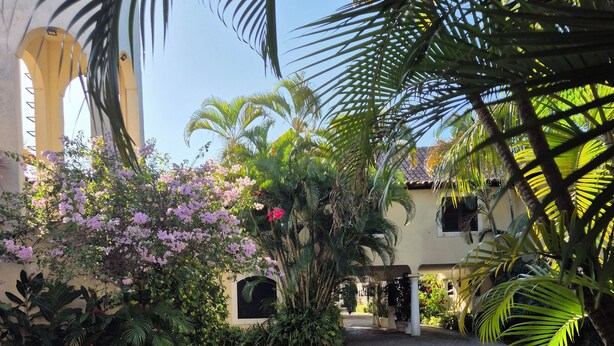 A paved pathway leading to a building with a yellow facade, surrounded by lush greenery and flowering plants.