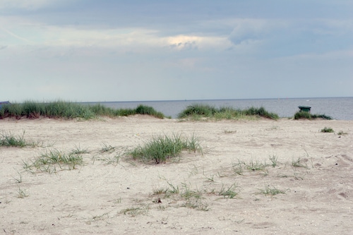 Apartment 3 "dune grass", 55sqm, near the beach, max. 2 persons