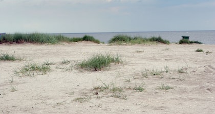 Apartment 3 "dune grass", 55sqm, near the beach, max. 2 persons