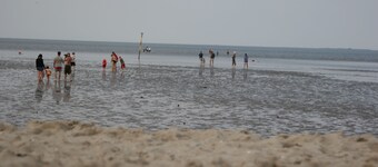 Lägenhet 3 "klippgräs", 55 kvm, nära stranden, max. 2 personer