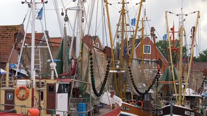 Um porto com vários barcos de pesca atracados, exibindo nomes e números de registo.