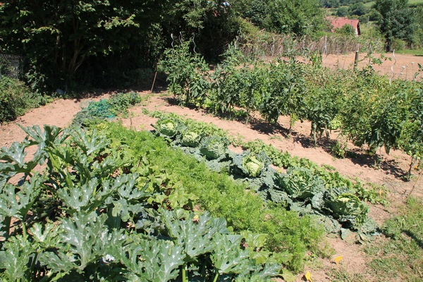 Suite, 2 Schlafzimmer, Nichtraucher | Ausblick vom Zimmer