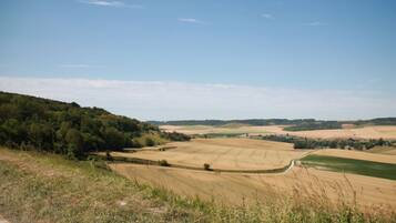 A rural landscape with fields, a winding road, and a forested hill.