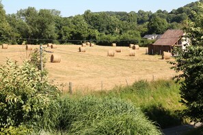 View from property - Le Haut Mesnil - 3 (Mesnil-Follemprise)