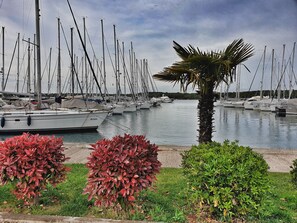 A marina with multiple sailboats docked.