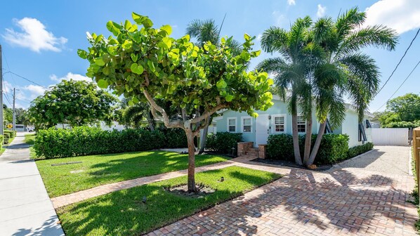 A residential property with a paved driveway, a well-maintained lawn, and a variety of trees including a palm.