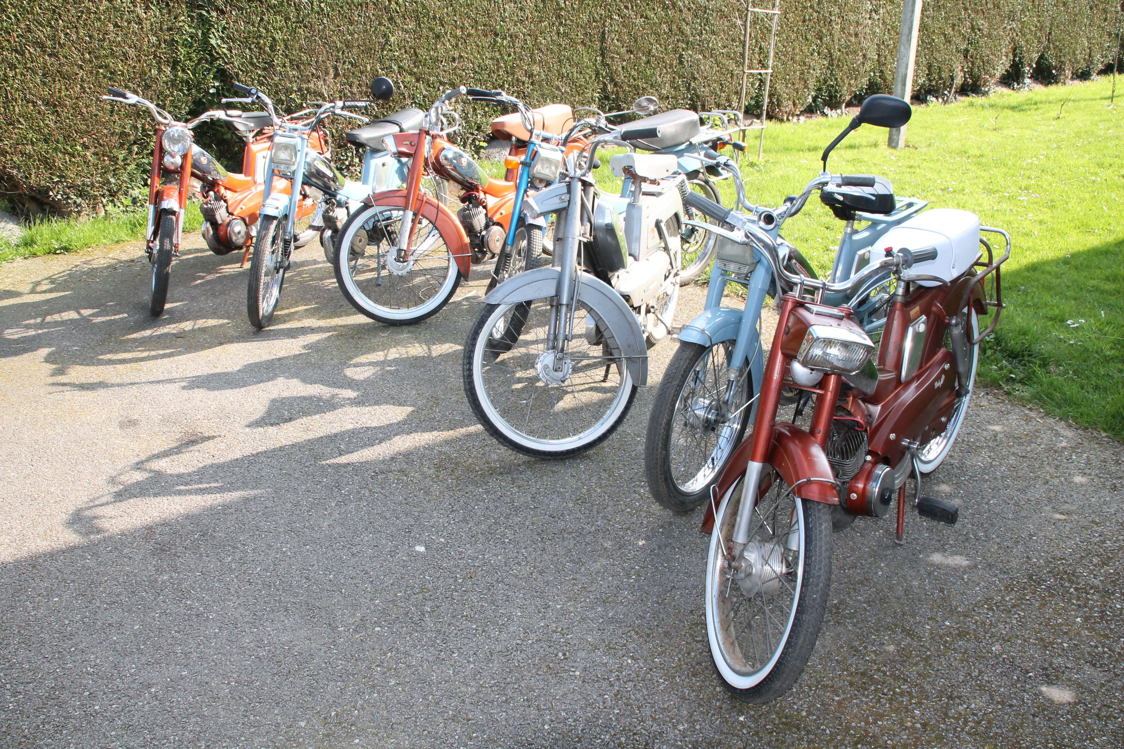 Une rangée de vélos anciens est garée sur un chemin de gravier.