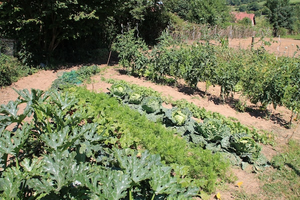 Suite, 2 Schlafzimmer | Blick auf den Garten
