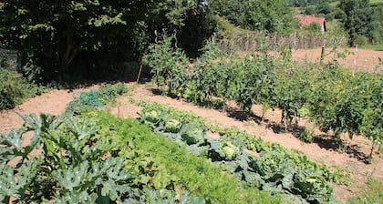 Le Haut Mesnil - 5