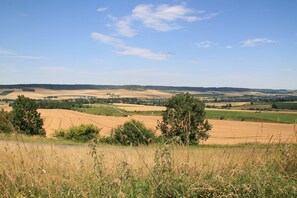 View from room - Le Haut Mesnil - 5 (Mesnil-Follemprise)