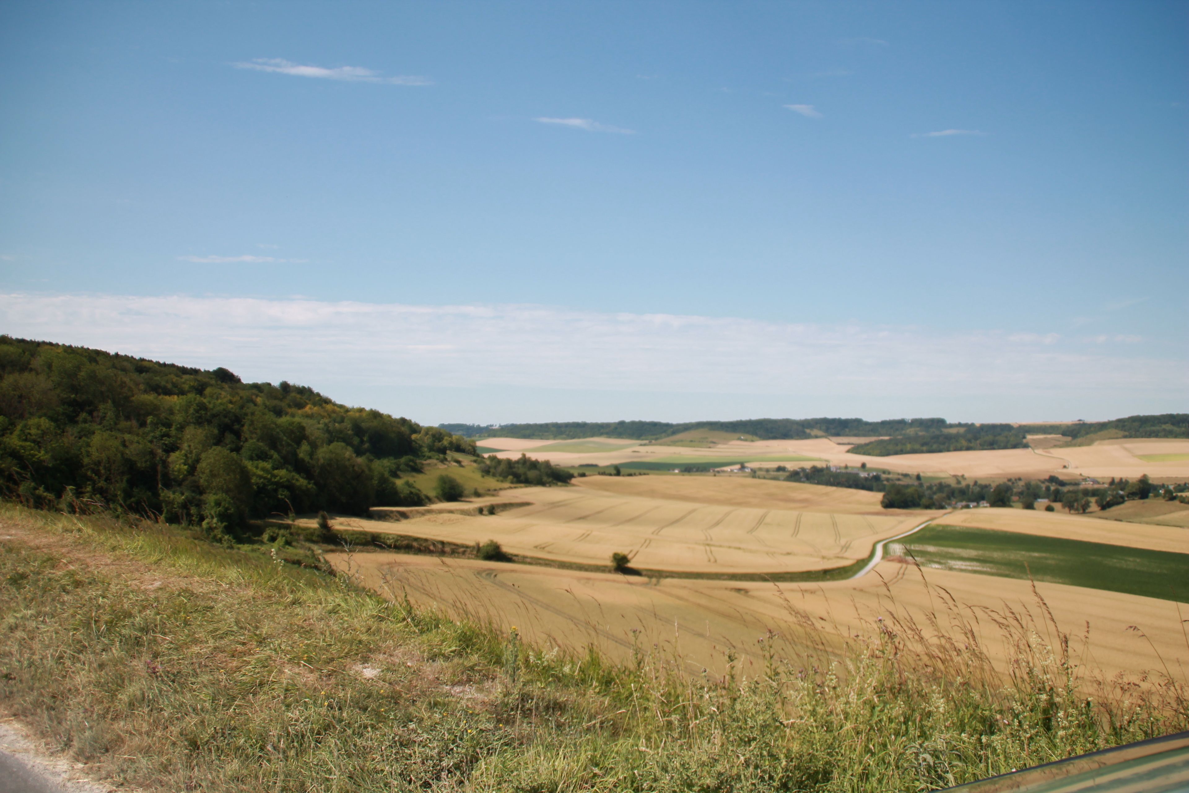 Un paysage rural avec des champs, une route sinueuse et une colline boisée.