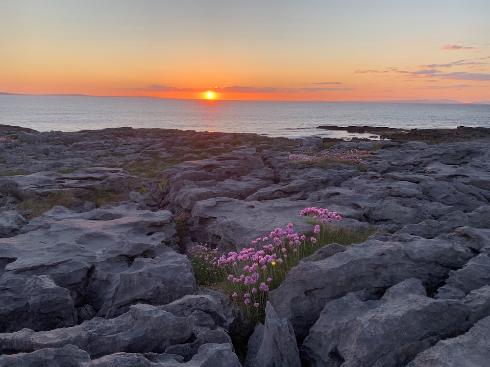 Wild Honey Inn by null Wild Honey Inn by null