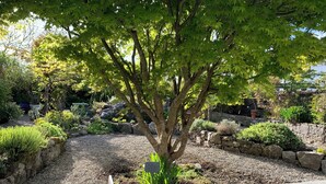 花 園