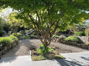 Garden - Wild Honey Inn (Lisdoonvarna)