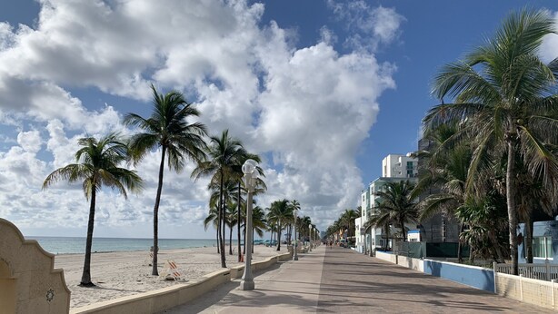 A beachside promenade with palm trees, a clear sky, and a calm sea. - Tiana Beach Hotel (Hollywood)