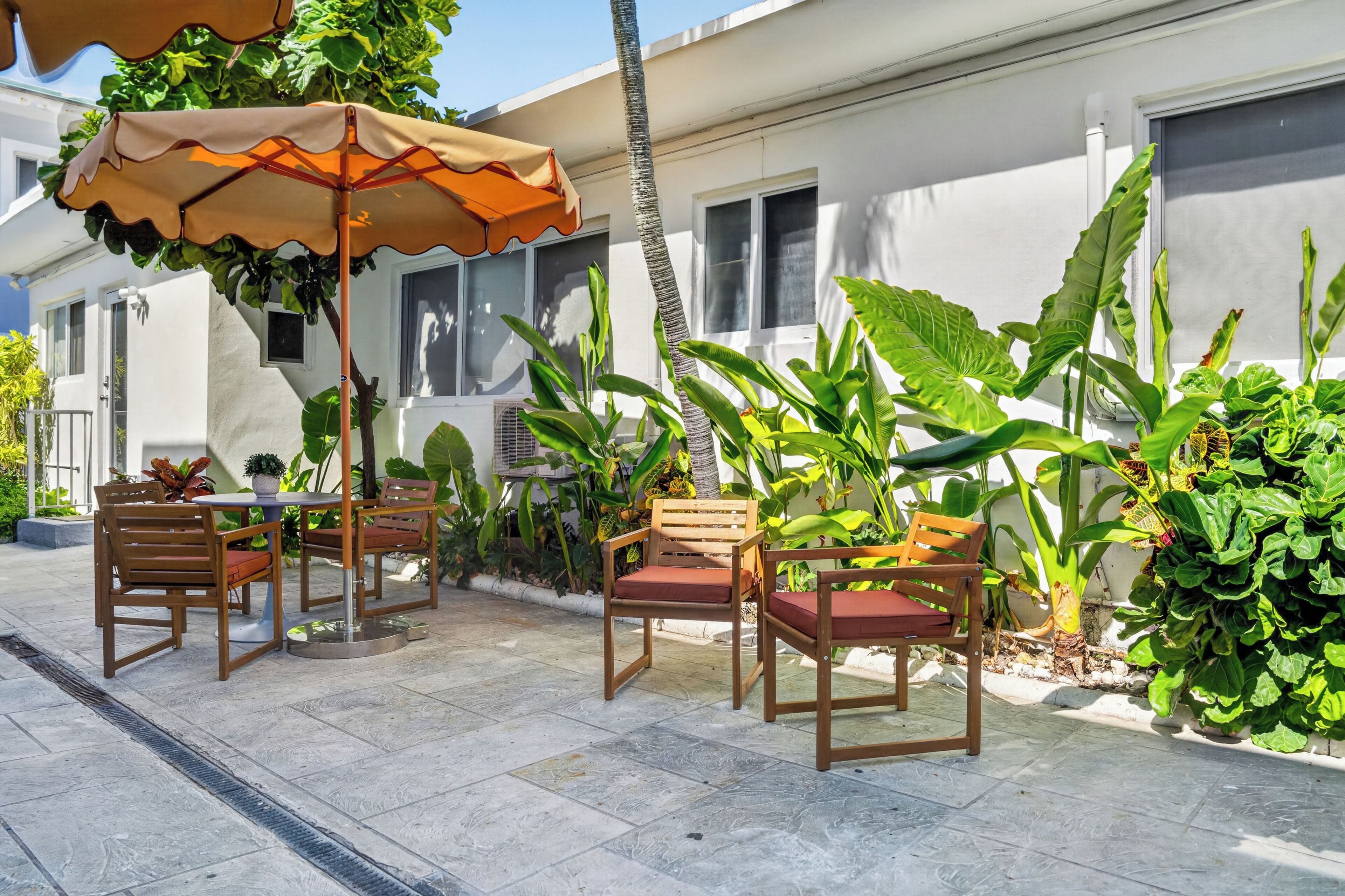 Une terrasse extérieure avec des chaises et une table en bois, entourée d’une végétation tropicale luxuriante.