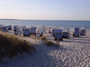 Beach nearby - Exquisite apartment on one of the most beautiful beaches in Germany (Prerow)