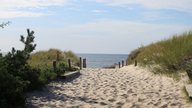 Een zandpad langs het strand, omringd door gras en houten palen.