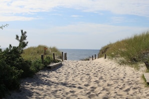 Una playa cerca