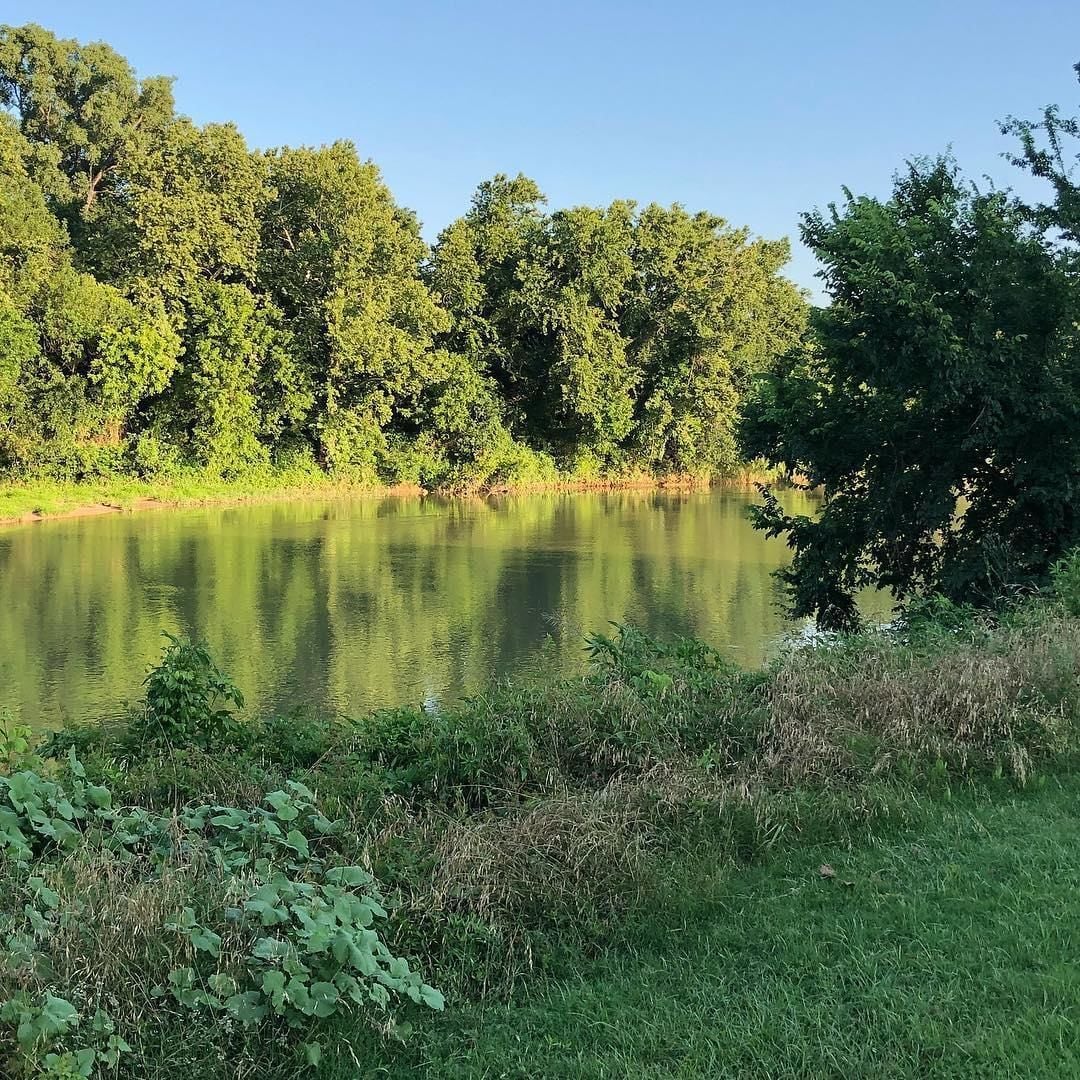 Beautiful Scenery, Towering Pines, Rolling Hills, and the Colorado River in Bastrop, United States